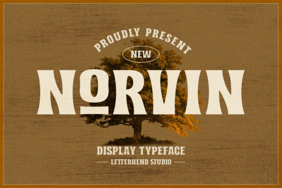 Norvin: A Designer’s Take on Its Personality and Practical Use