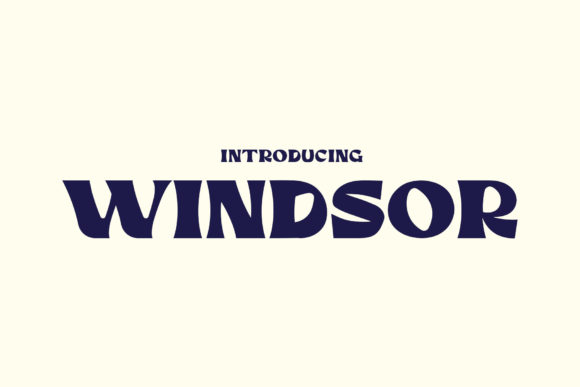 Windsor: A Designer’s Real-World Review for Branding and Visual Projects